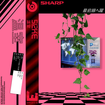 Macintosh 512KE - Greenhouse